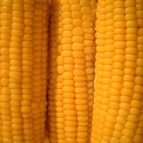 Sweet Corn Can